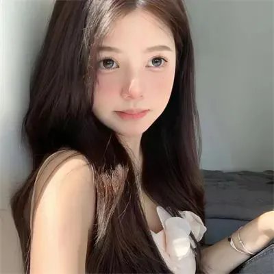 来自日本的机器狗
